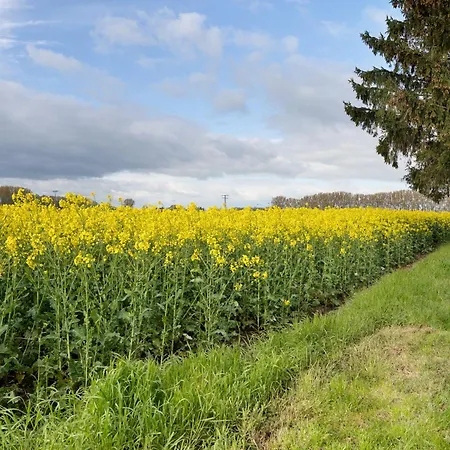 Pommernhuus An De Kark